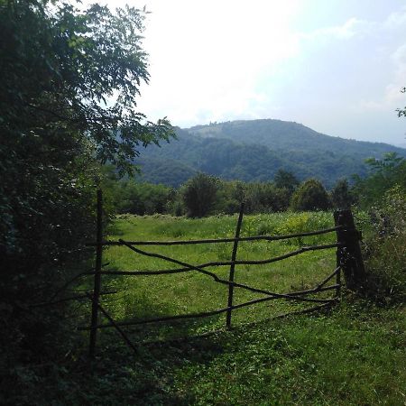 Guesthouse Smiljanic Slavkovica Εξωτερικό φωτογραφία
