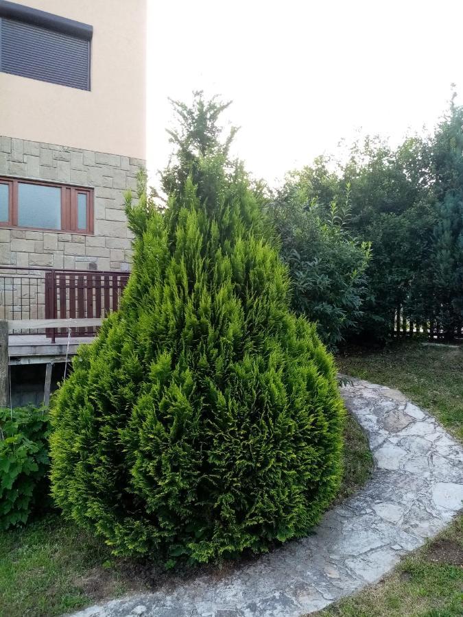 Guesthouse Smiljanic Slavkovica Εξωτερικό φωτογραφία