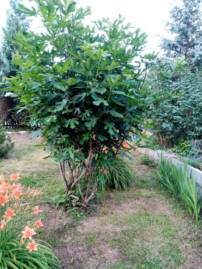Guesthouse Smiljanic Slavkovica Εξωτερικό φωτογραφία