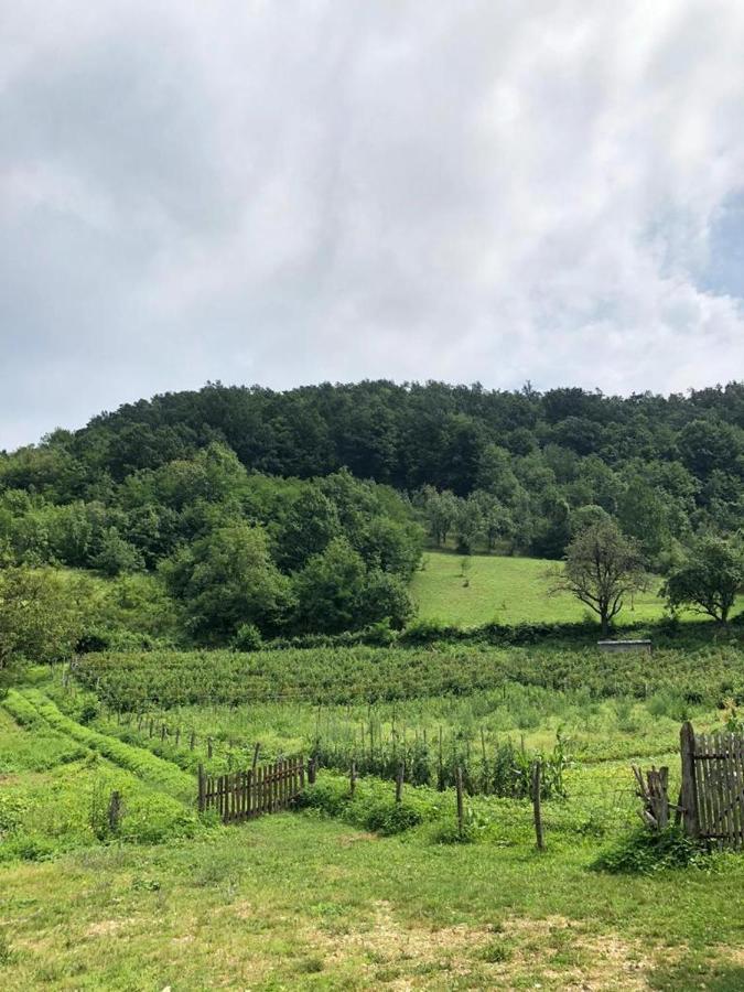 Guesthouse Smiljanic Slavkovica Εξωτερικό φωτογραφία