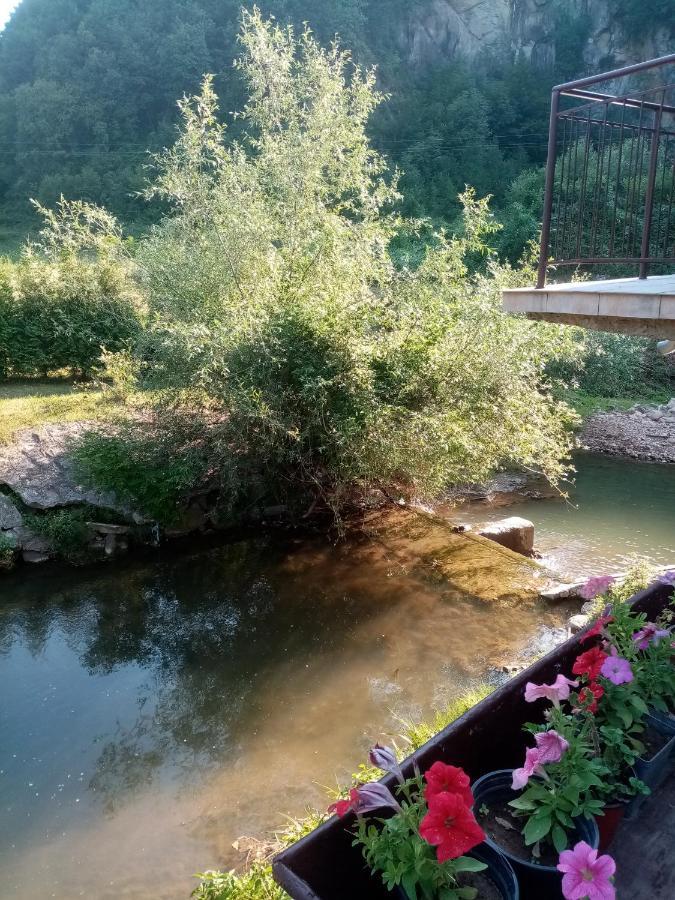 Guesthouse Smiljanic Slavkovica Εξωτερικό φωτογραφία