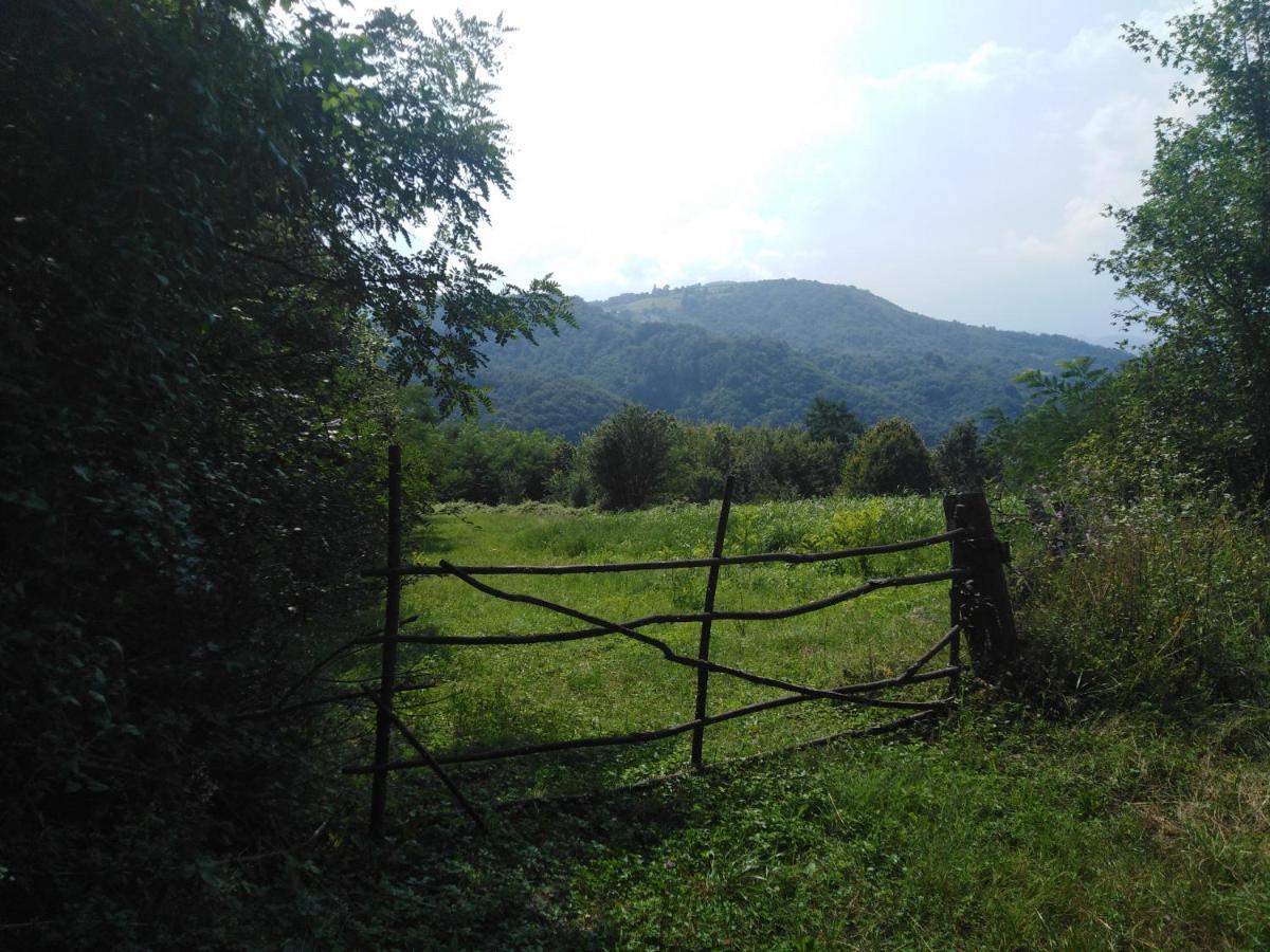 Guesthouse Smiljanic Slavkovica Εξωτερικό φωτογραφία
