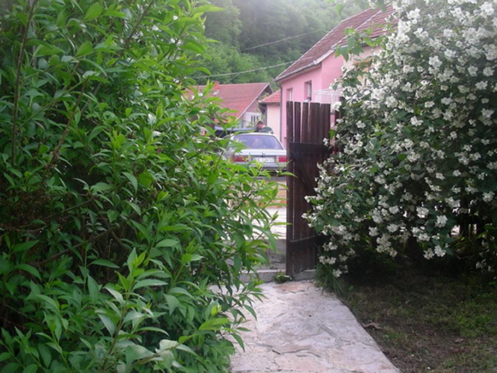 Guesthouse Smiljanic Slavkovica Εξωτερικό φωτογραφία